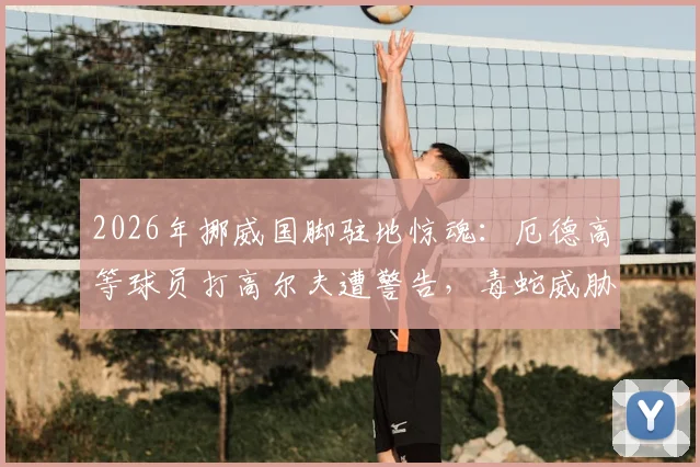 2026年挪威国脚驻地惊魂：厄德高等球员打高尔夫遭警告，毒蛇威胁成训练外最大隐患